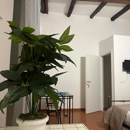 Il Portale 2 Apartment โตรเปอา ภายนอก รูปภาพ